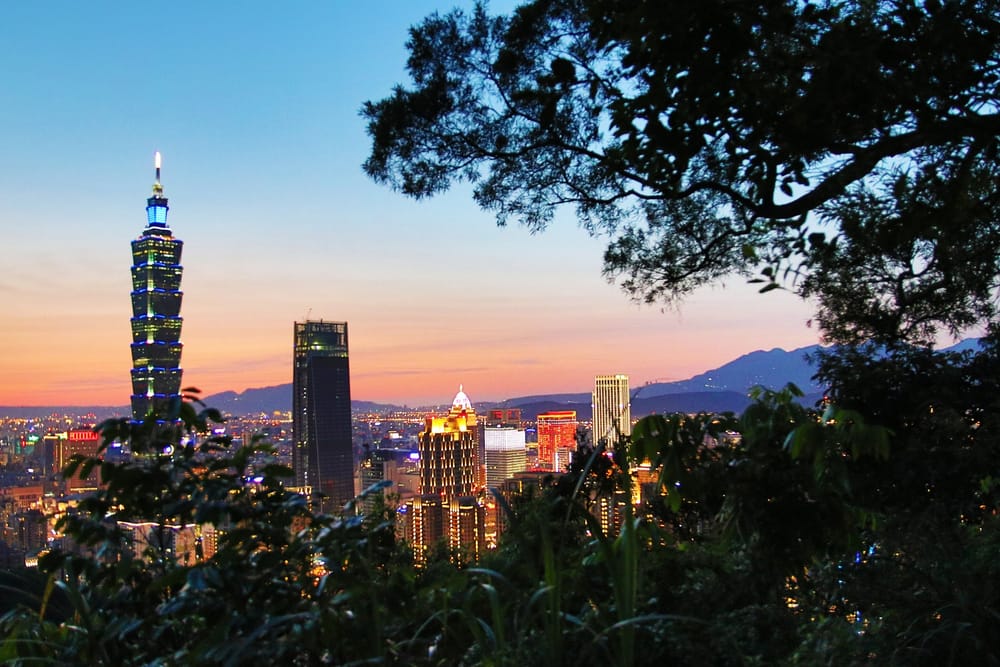 Taipei at dusk through the trees / 樹叢間的台北黃昏